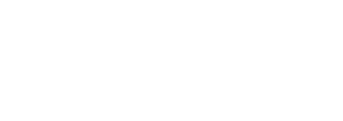 Google Ads Partner